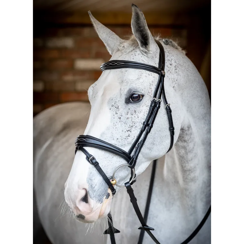LeMieux Competition Flash Bridle - Black