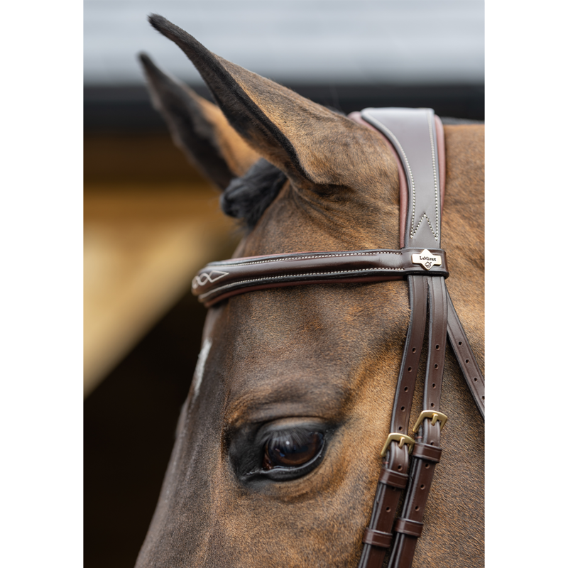LeMieux Competition Flash Bridle - Havana-3