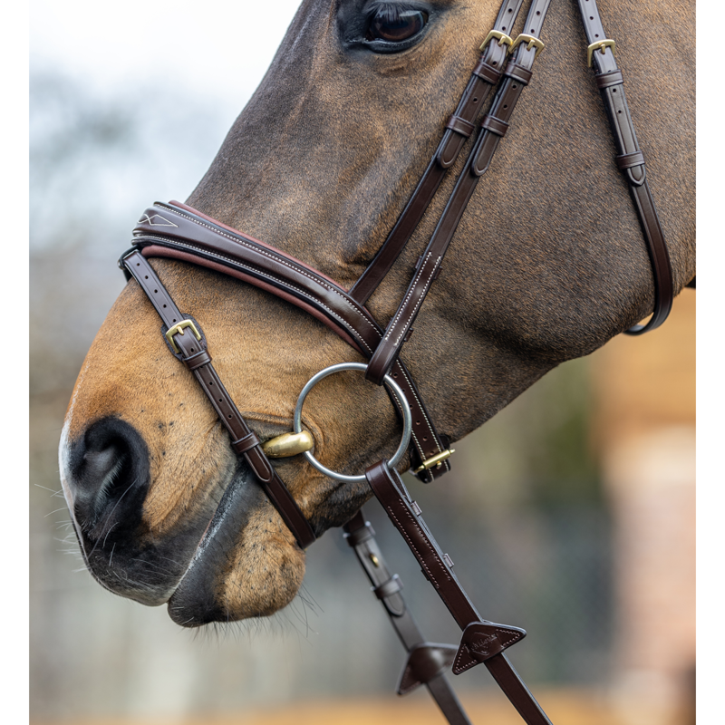 LeMieux Competition Flash Bridle - Havana-2