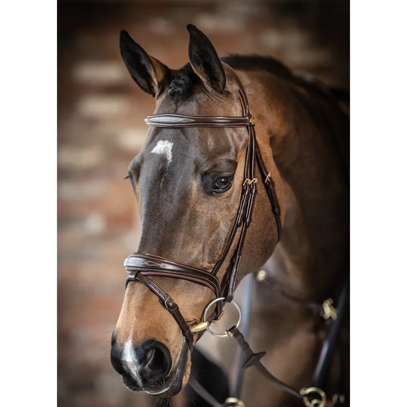LeMieux Competition Flash Bridle - Havana-1