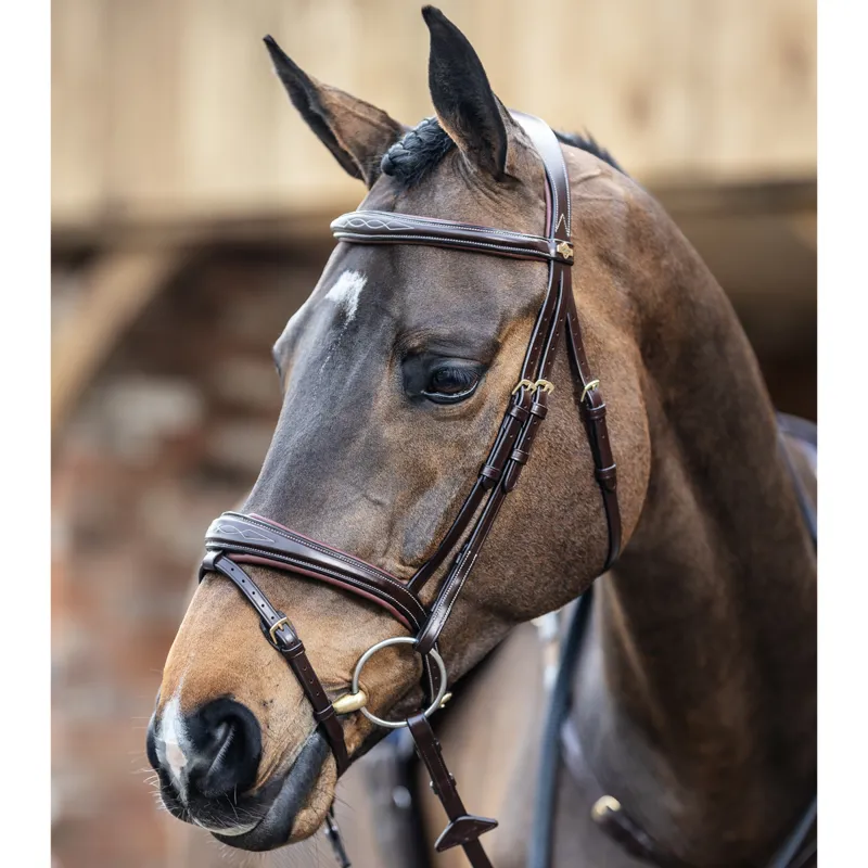 LeMieux Competition Flash Bridle - Havana