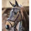 LeMieux Competition Flash Bridle - Havana