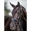 LeMieux Classic Dressage Bridle - Black