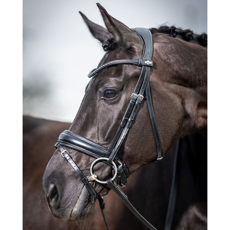 LeMieux Classic Dressage Bridle - Black-2