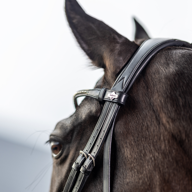 LeMieux Classic Dressage Bridle - Black-3