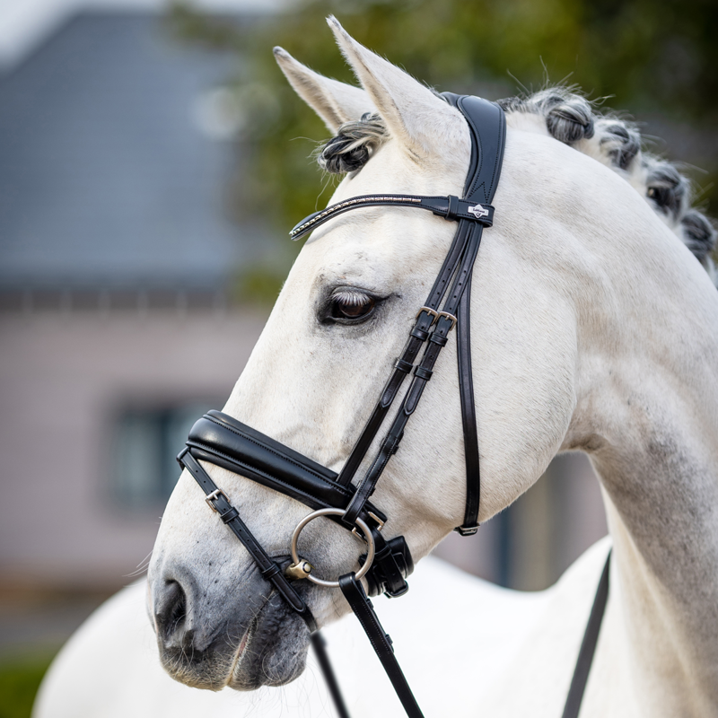 LeMieux Classic Dressage Bridle - Black-1