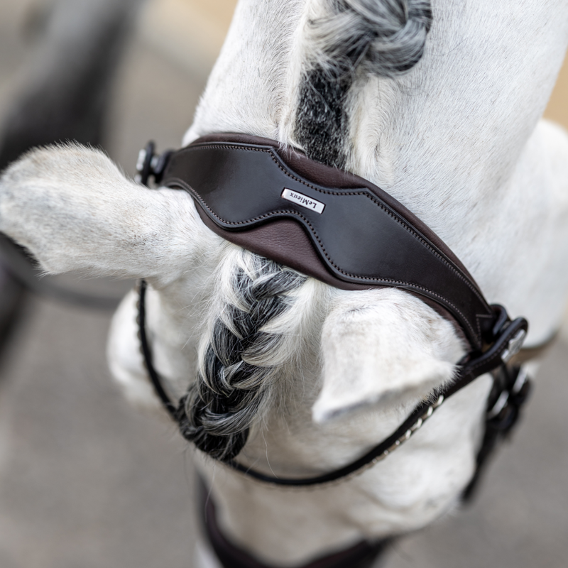 LeMieux Classic Dressage Bridle - Brown-4