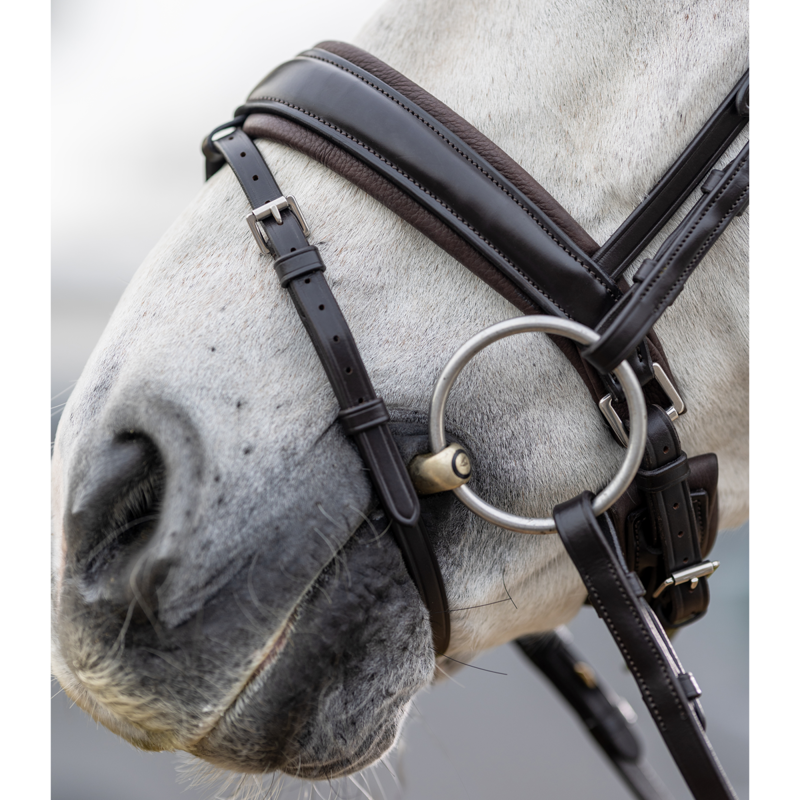 LeMieux Classic Dressage Bridle - Brown-3