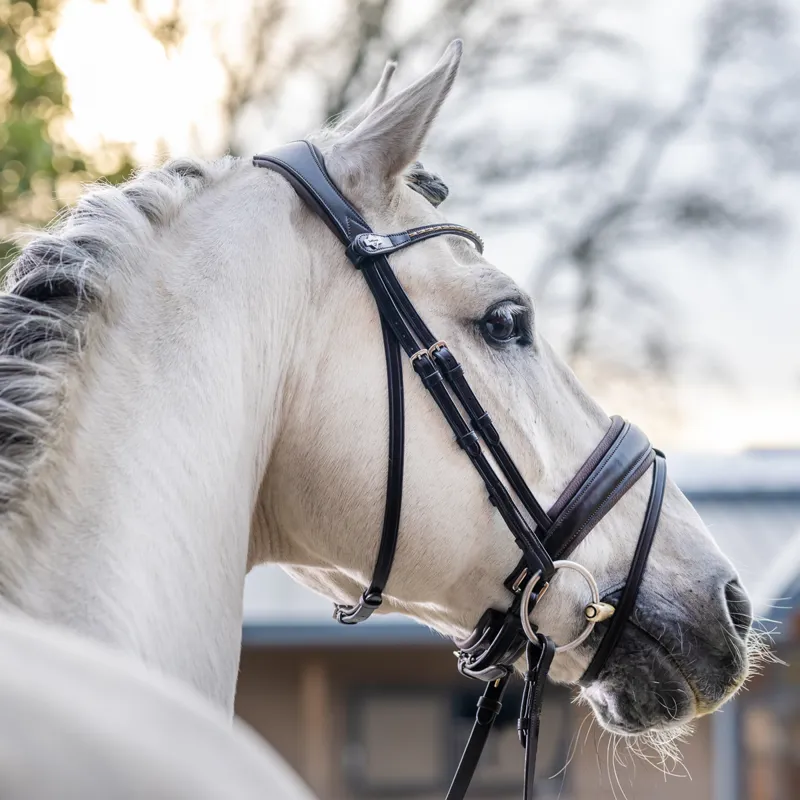 LeMieux Classic Dressage Bridle - Brown-1