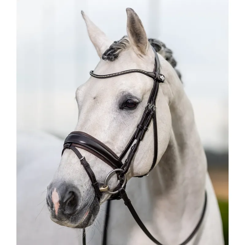 LeMieux Classic Dressage Bridle - Brown