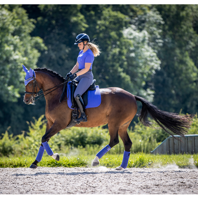 LeMieux Suede Dressage Square - Bluebell-7