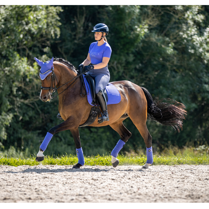 LeMieux Suede Dressage Square - Bluebell-6