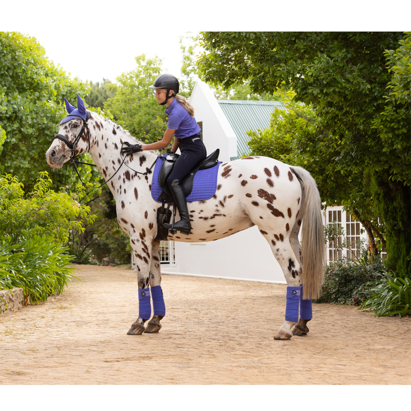 LeMieux Suede Dressage Square - Bluebell-8