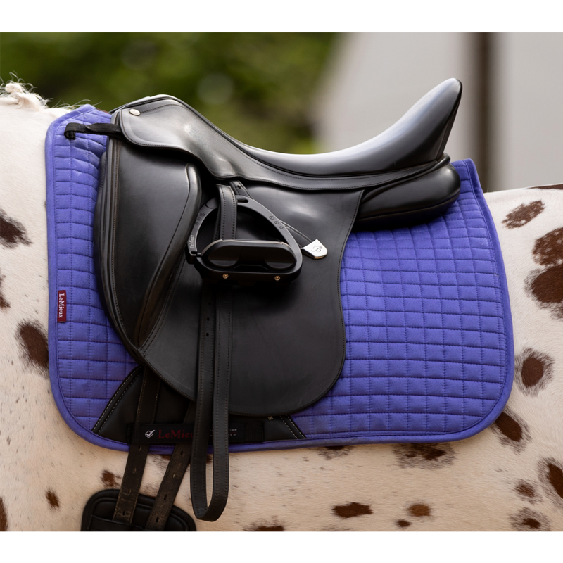 LeMieux Suede Dressage Square - Bluebell-5