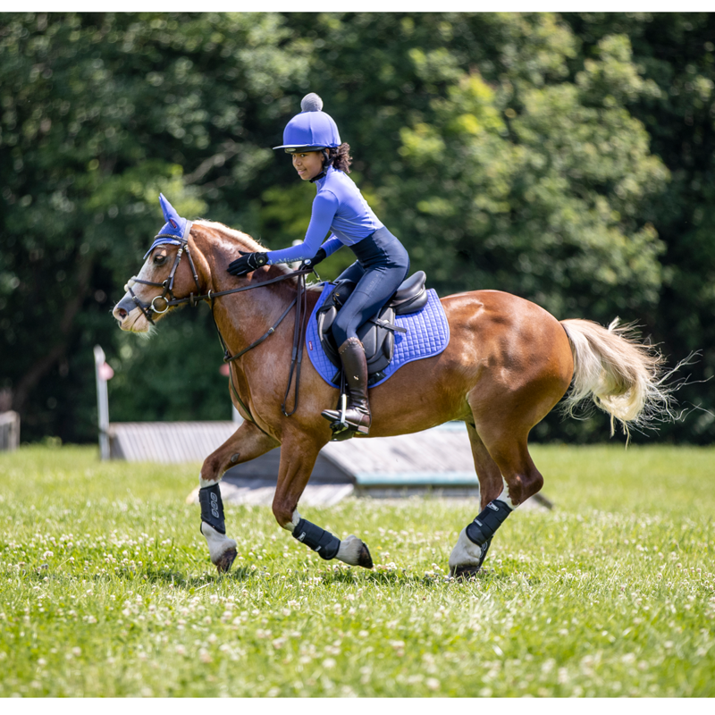 LeMieux Suede GP Square - Bluebell-3