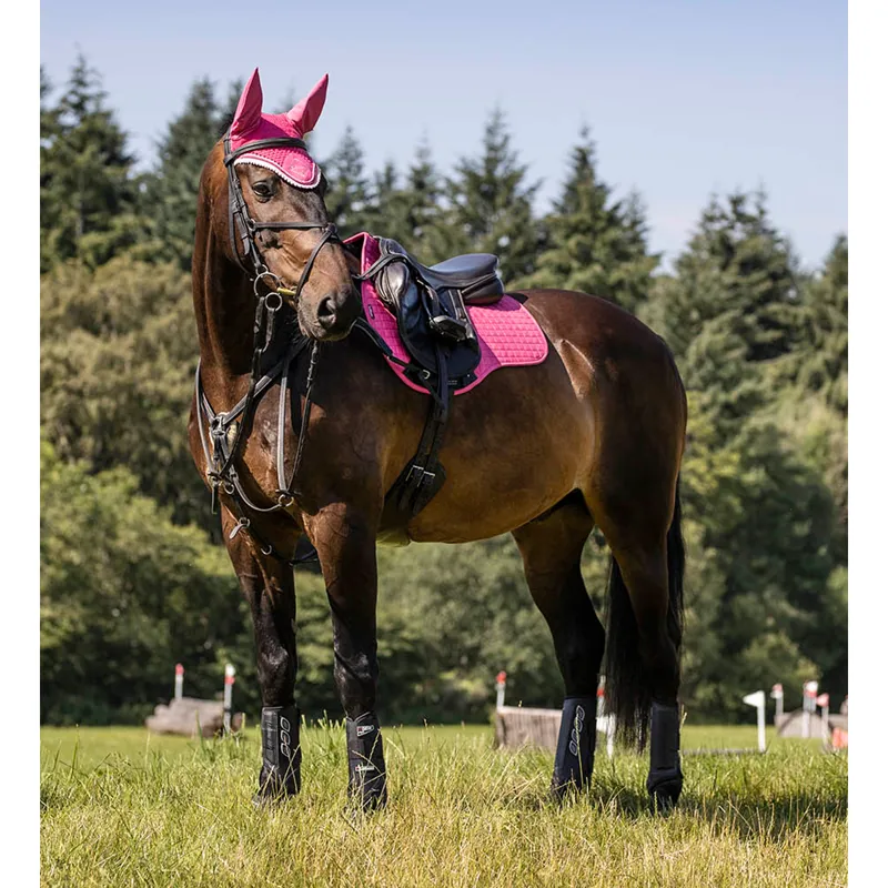 LeMieux Suede GP Square - Watermelon-2