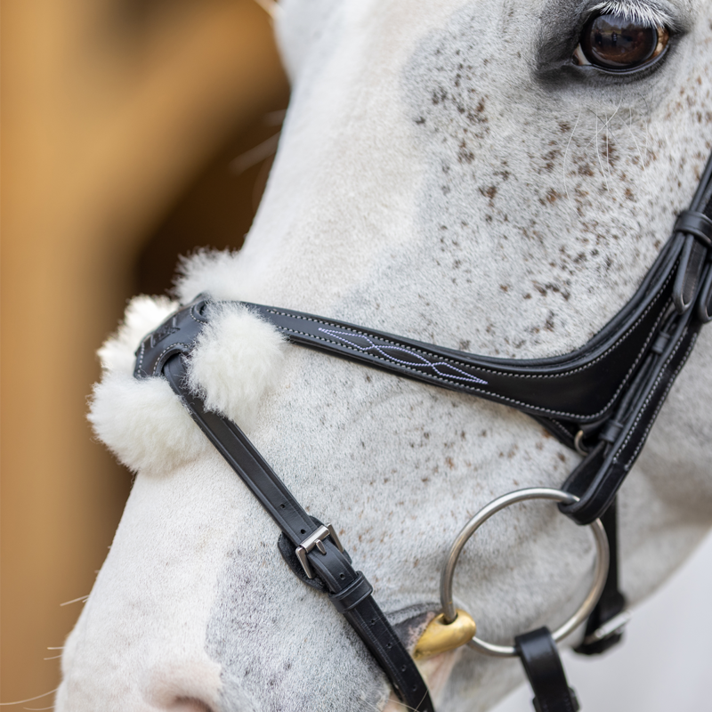 LeMieux Kudos Grackle Bridle - Black-2