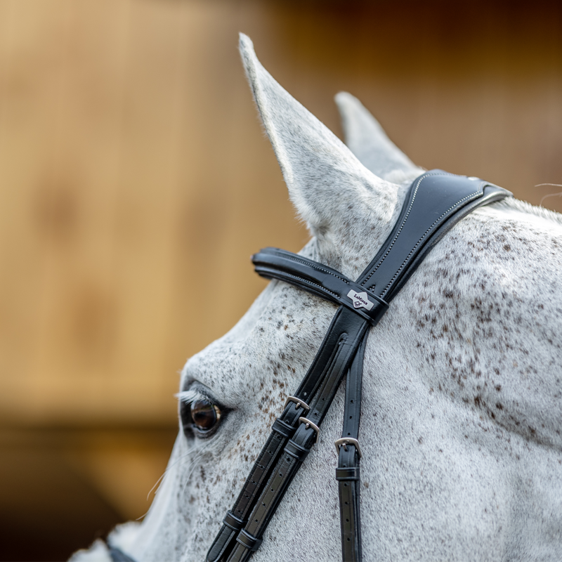 LeMieux Kudos Grackle Bridle - Black-1