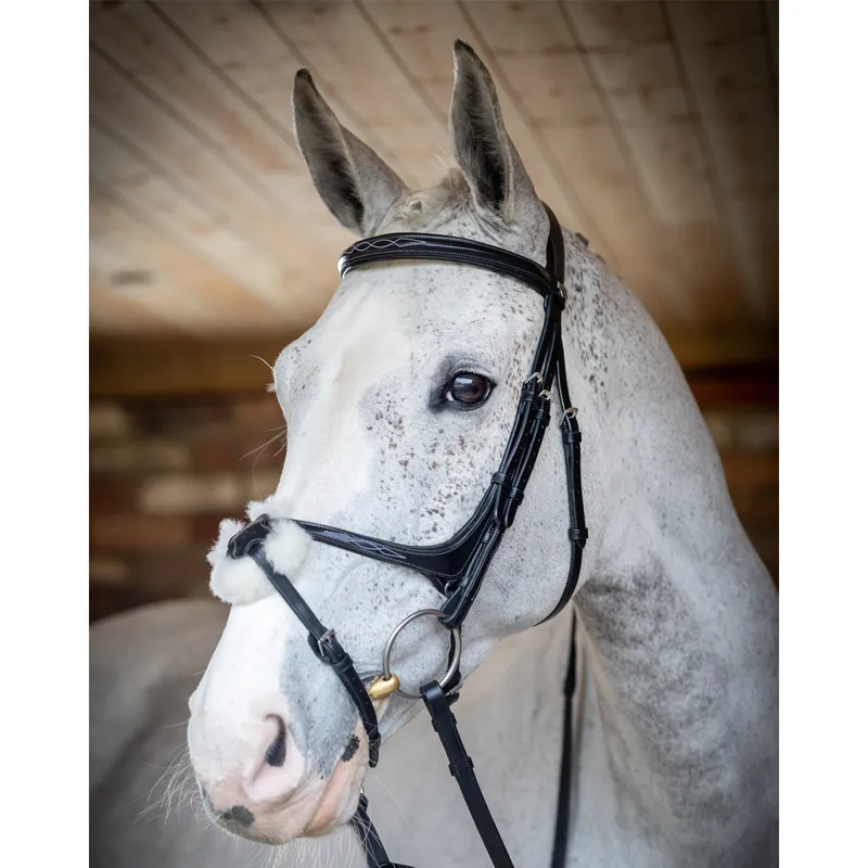 LeMieux Kudos Grackle Bridle - Black