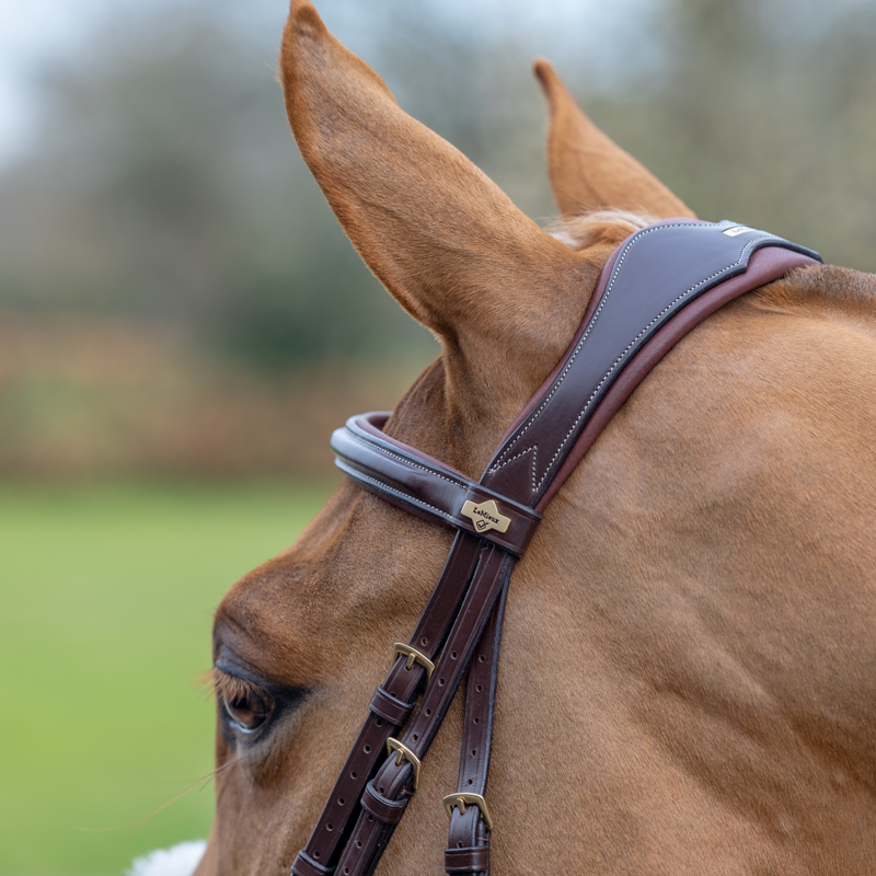 LeMieux Grackle Bridle - Havana-3