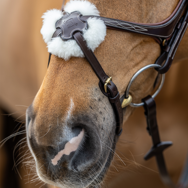 LeMieux Grackle Bridle - Havana-2