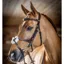 LeMieux Grackle Bridle - Havana