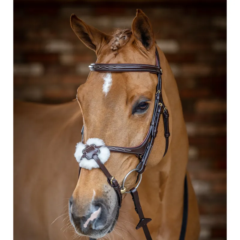 LeMieux Grackle Bridle - Havana-1