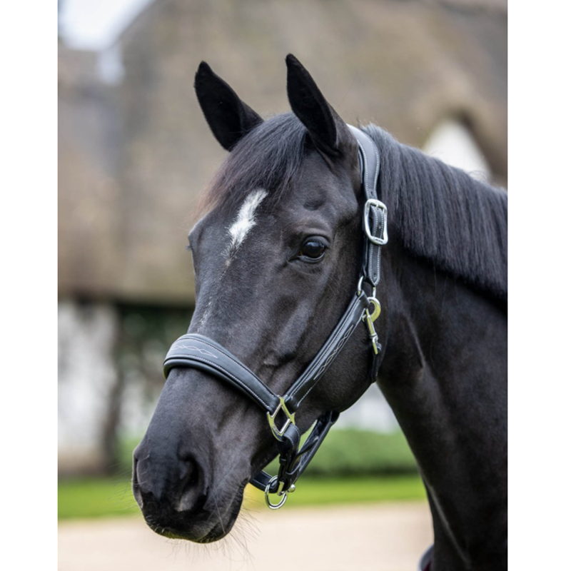 LeMieux Leather Stitch Headcollar - Black-1