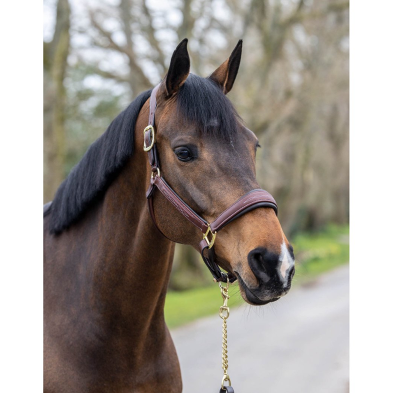 LeMieux Leather Stitch Headcollar - Brown-1