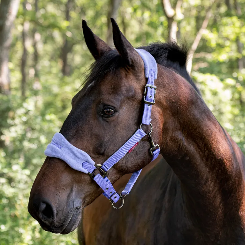 LeMieux Vogue Fleece Headcollar and Leadrope - Bluebell-4