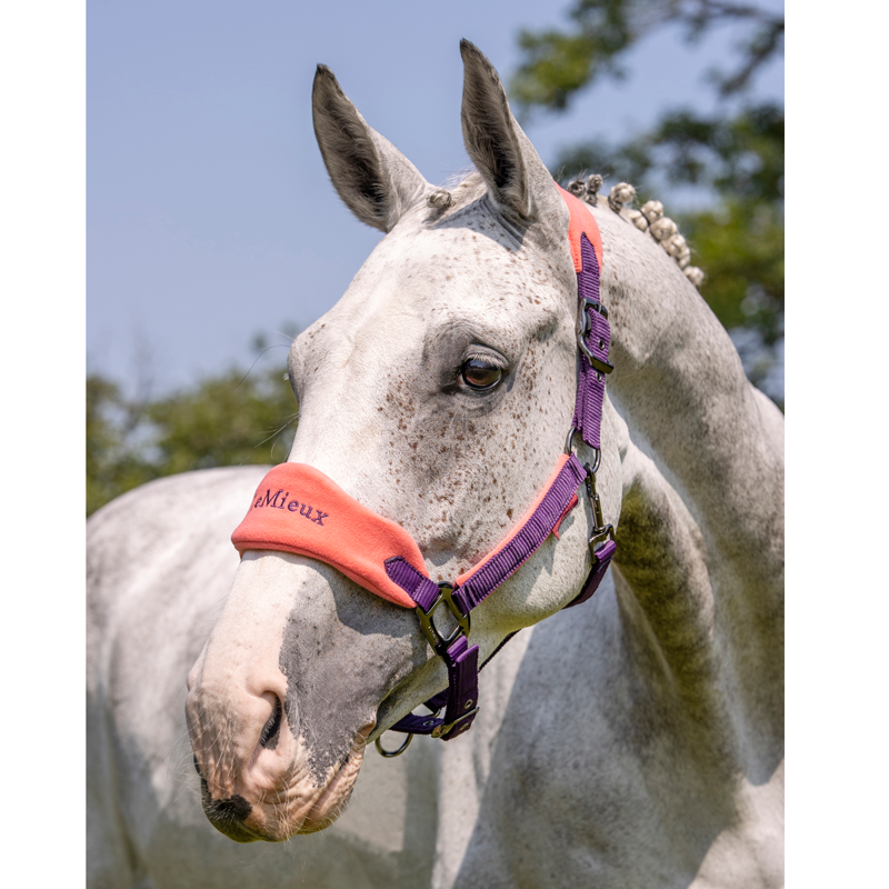 LeMieux Vogue Fleece Headcollar and Leadrope - Papaya-4