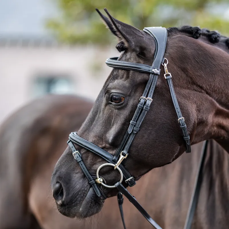 LeMieux Work Bridle - Black