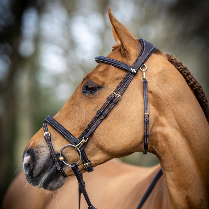 LeMieux Work Bridle - Brown-1