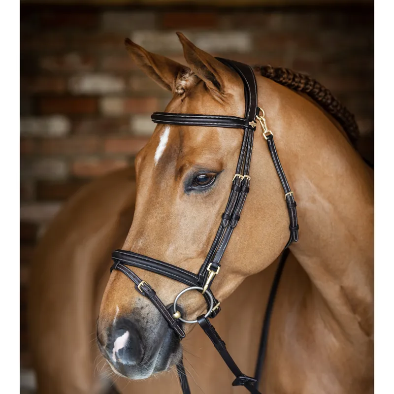 LeMieux Work Bridle - Brown