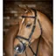 LeMieux Work Bridle - Brown