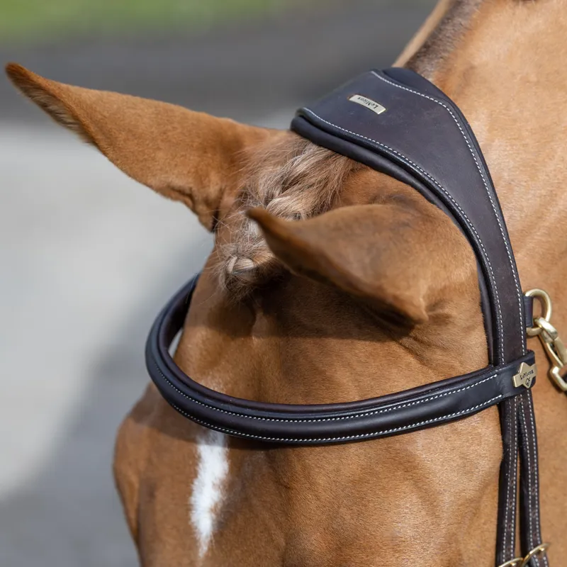 LeMieux Work Bridle - Brown-3