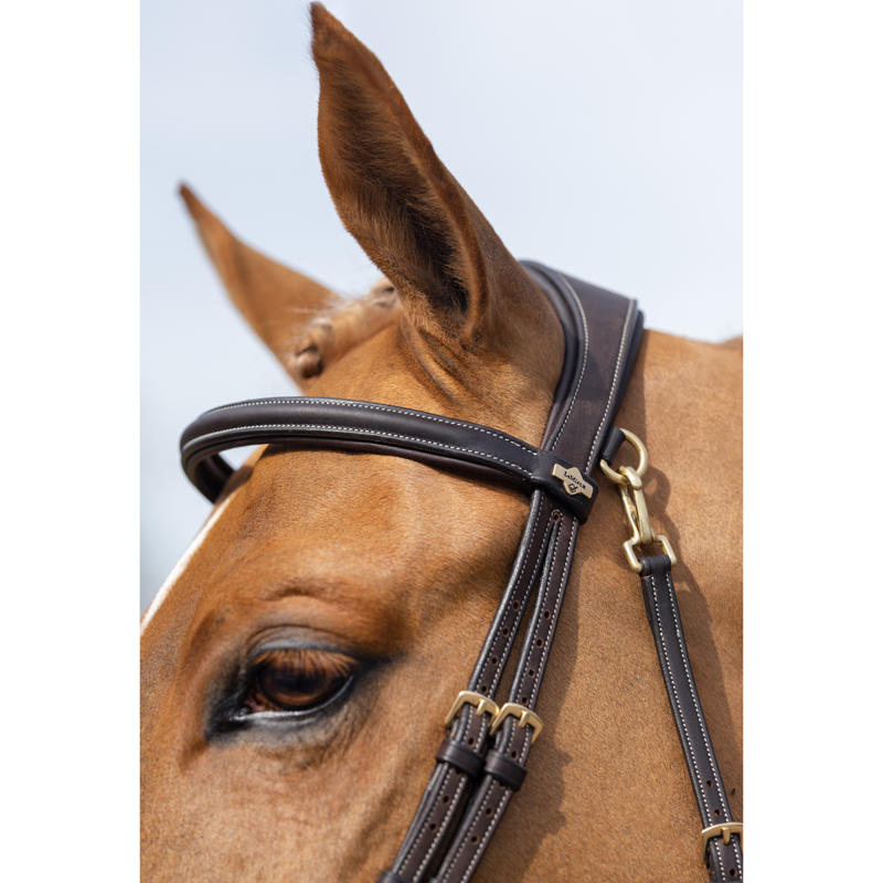 LeMieux Work Bridle - Brown-2