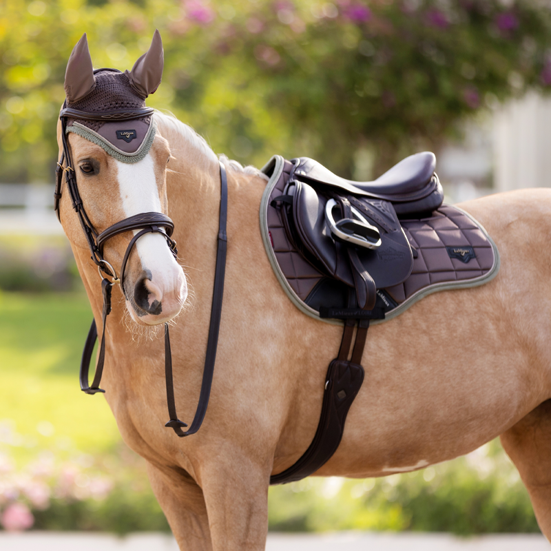 LeMieux Loire Classic GP Square - Walnut-3