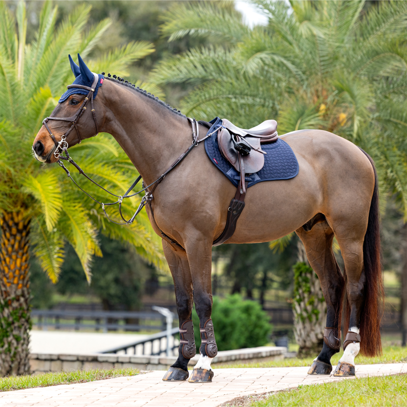 LeMieux Prosorb Plain 2 Pocket Close Contact Square Large - Navy-3