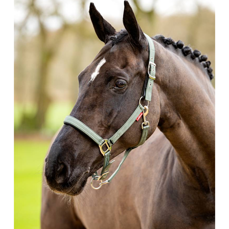 LeMieux Essential Yard Headcollar - Thyme-1