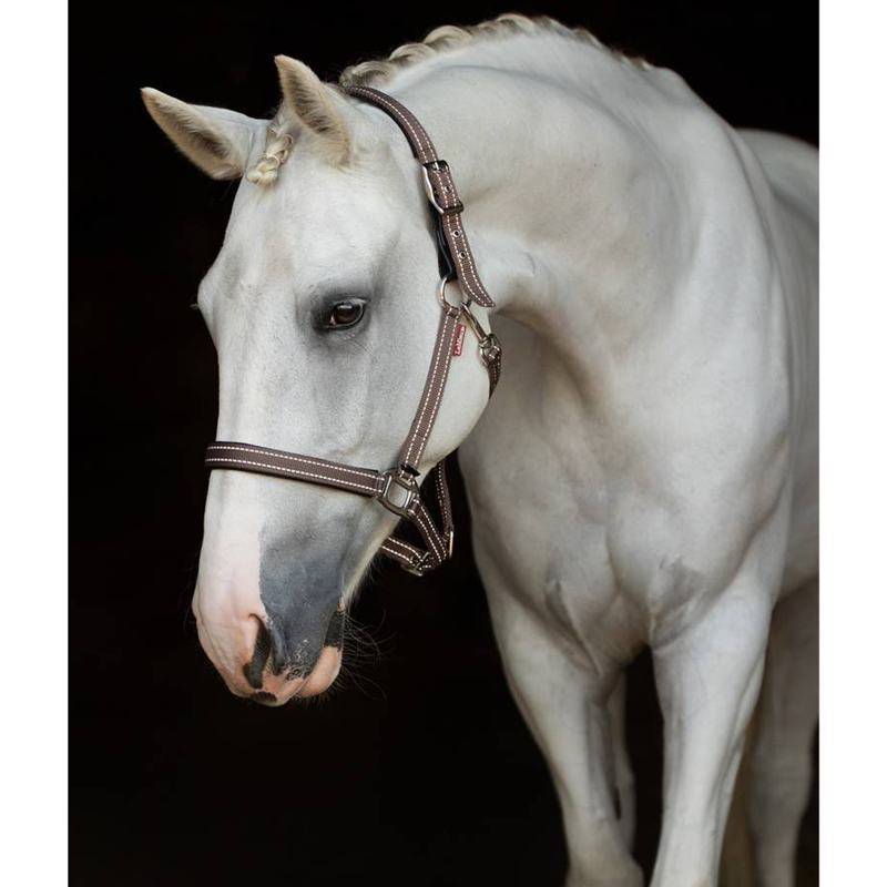 LeMieux Essential Yard Headcollar - Walnut-1