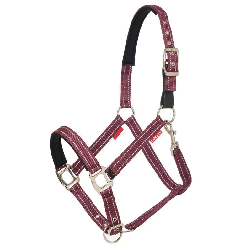 LeMieux Essential Yard Headcollar - Burgundy