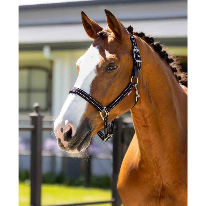 LeMieux Essential Yard Headcollar - Black-1