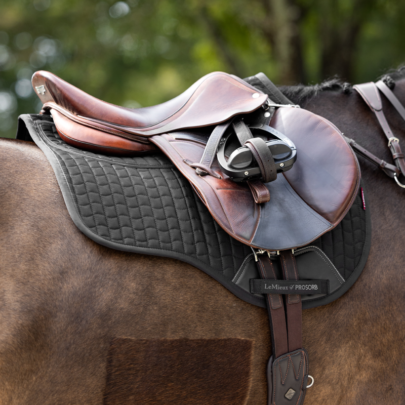 LeMieux Prosorb Plain 2 Pocket GP Square Large - Black-1