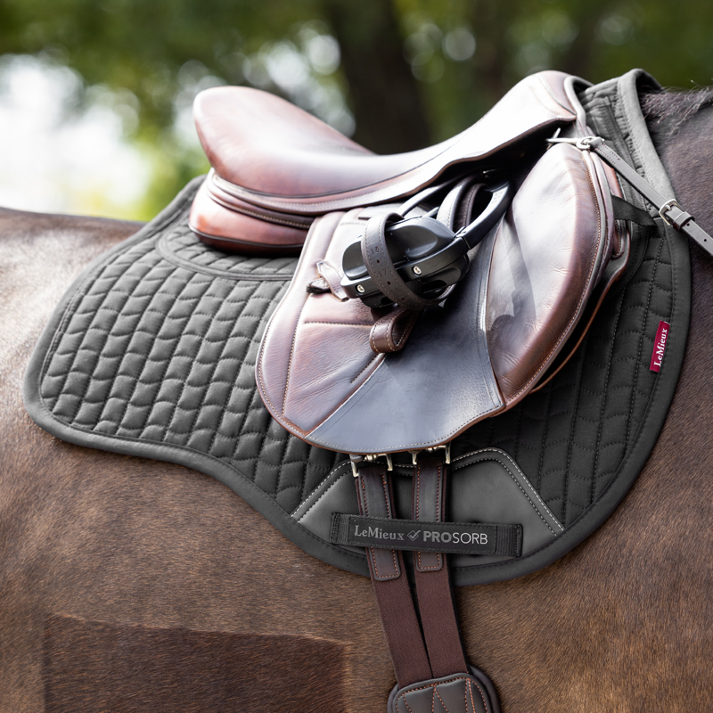 LeMieux Prosorb Plain 2 Pocket GP Square Large - Black-2