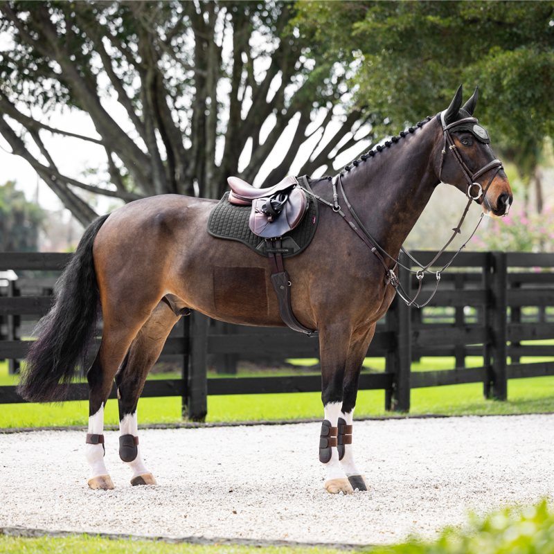 LeMieux Prosorb Plain 2 Pocket GP Square Large - Black-3