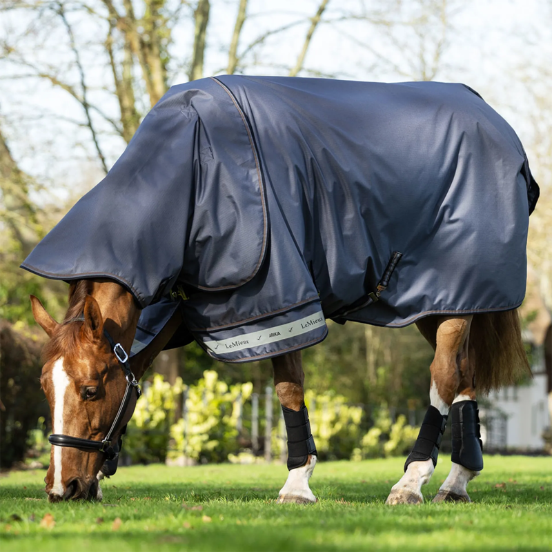 LeMieux Arika 600D Ripstop 50g Turnout Rug - Jay Blue-1