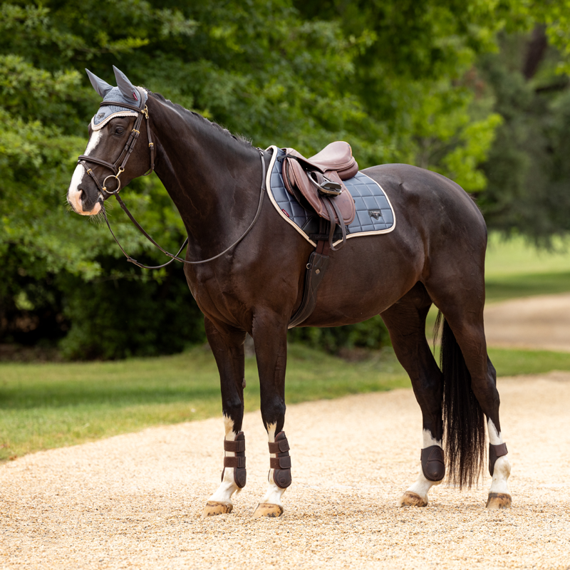 LeMieux Loire Classic Close Contact Square - Jay Blue-2