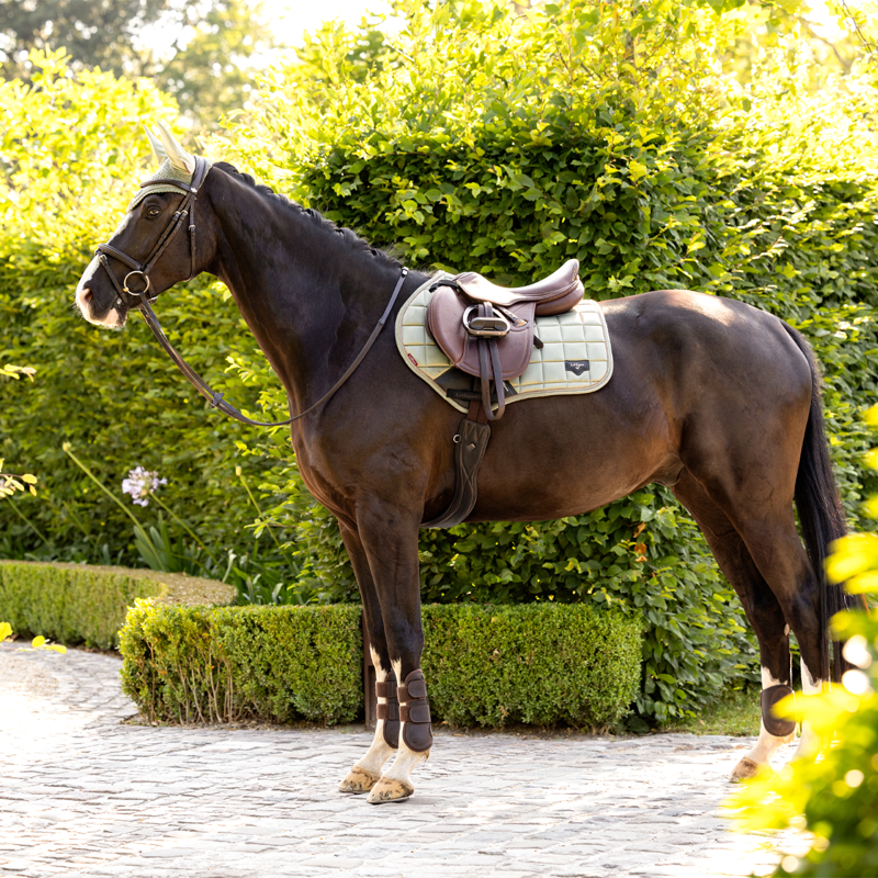 LeMieux Loire Classic Close Contact Square - Fern-1