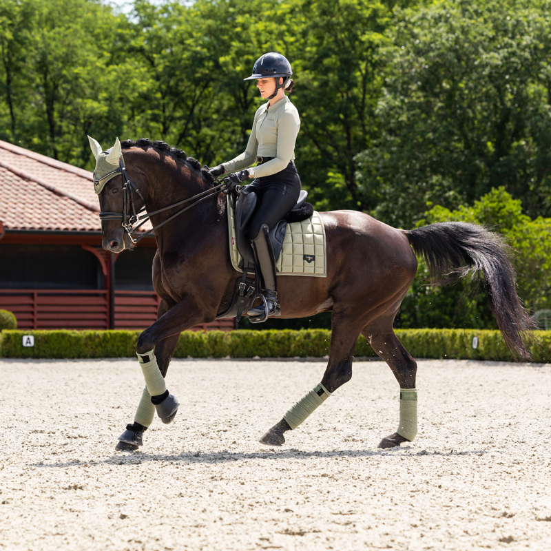 LeMieux Loire Fly Hood - Fern-3